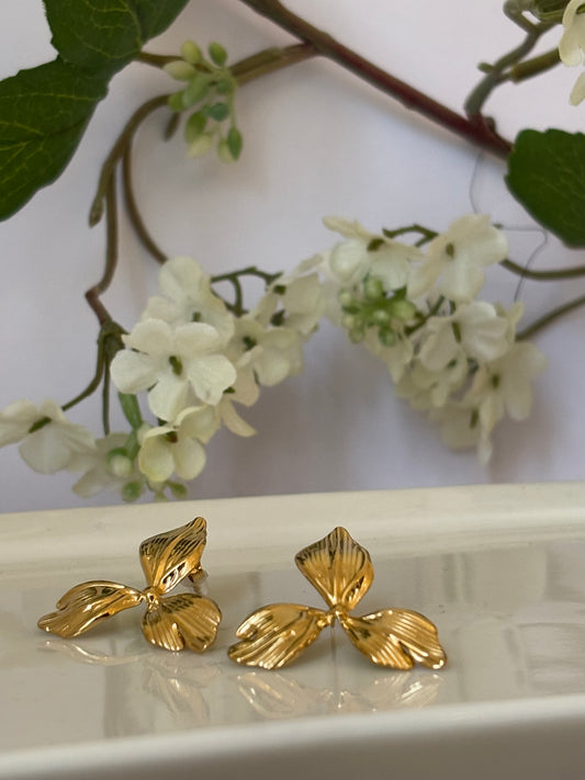 Boucles d'oreilles ORNA